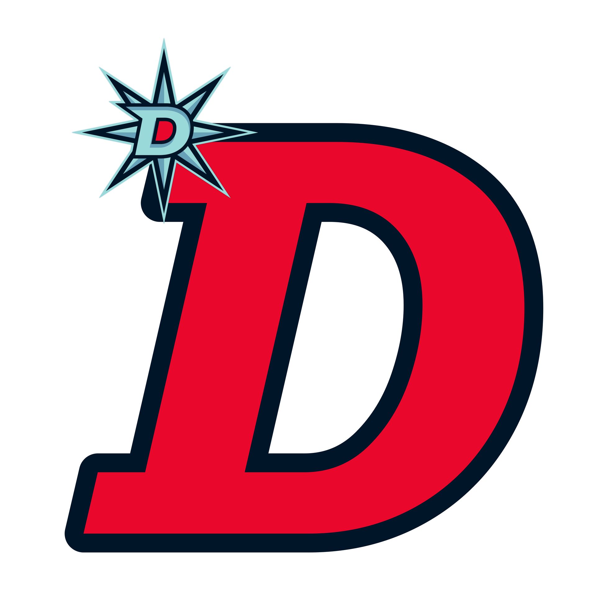 Development Protégé Programme